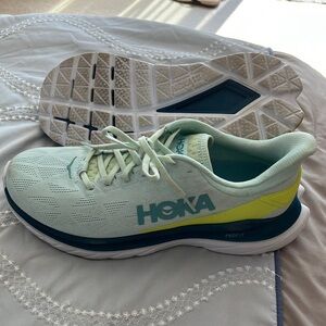 Hoka pro fly size 10